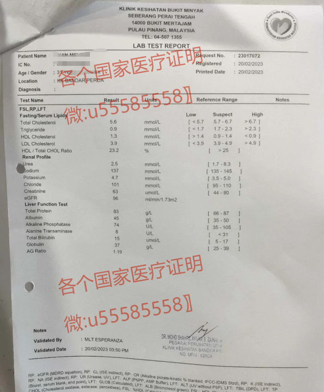 Obtain a U.S. medical certificate