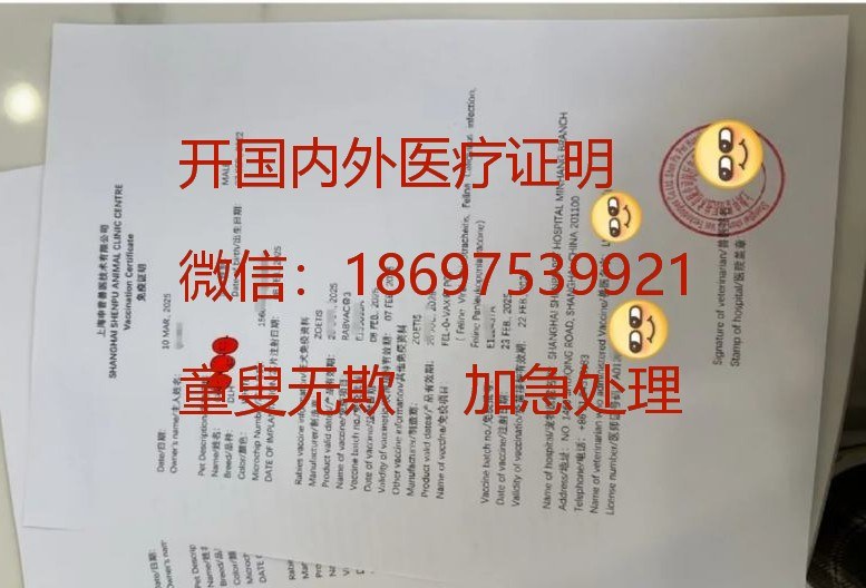 开荷兰医院证明